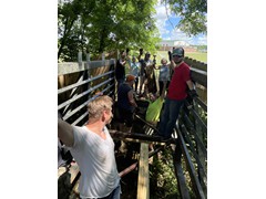 IMG_9463